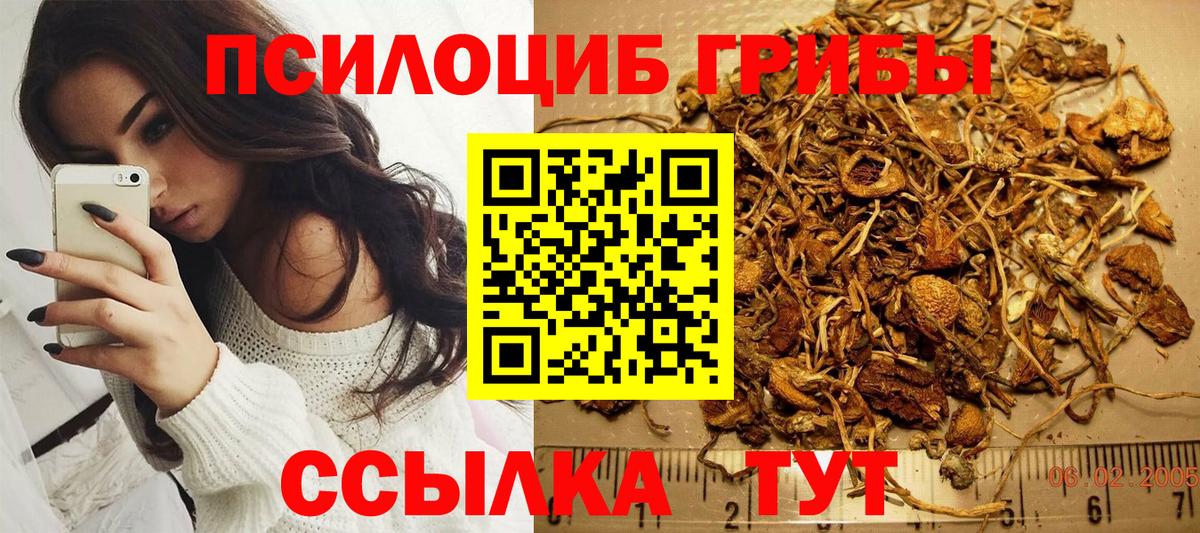 Галлюциногенные грибы мухоморы  Вход с VPN  где продают   Заводоуковск 