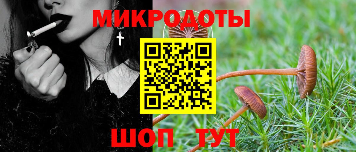Псилоцибиновые грибы прущие грибы Заводоуковск