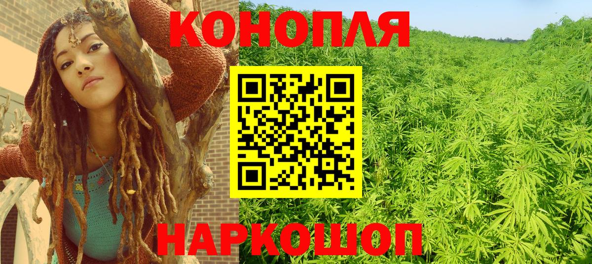 Бошки Шишки ГИДРОПОН  Вход с VPN  Заводоуковск  МАРИХУАНА план  Марихуана конопля 