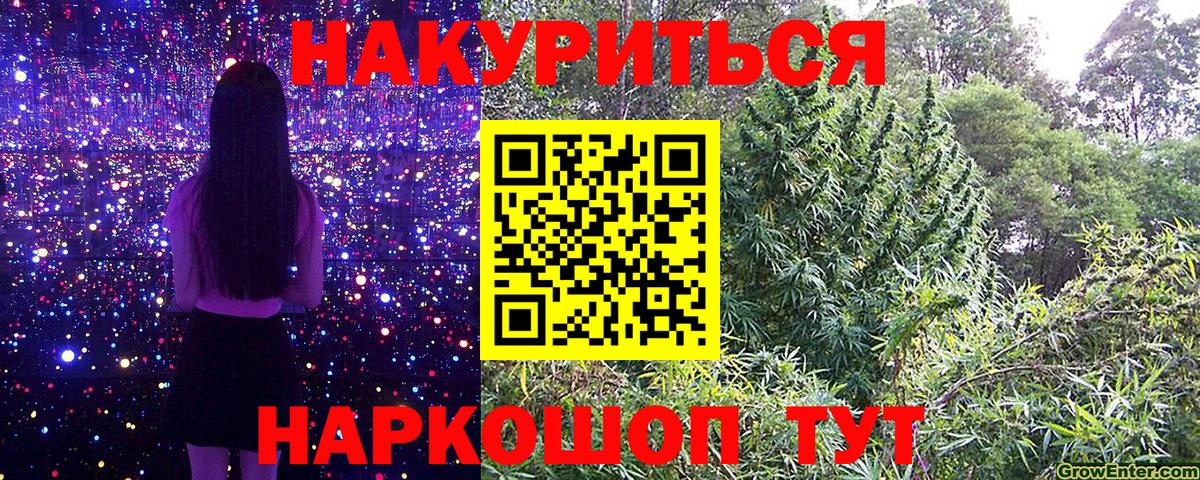 Бошки марихуана планчик Заводоуковск